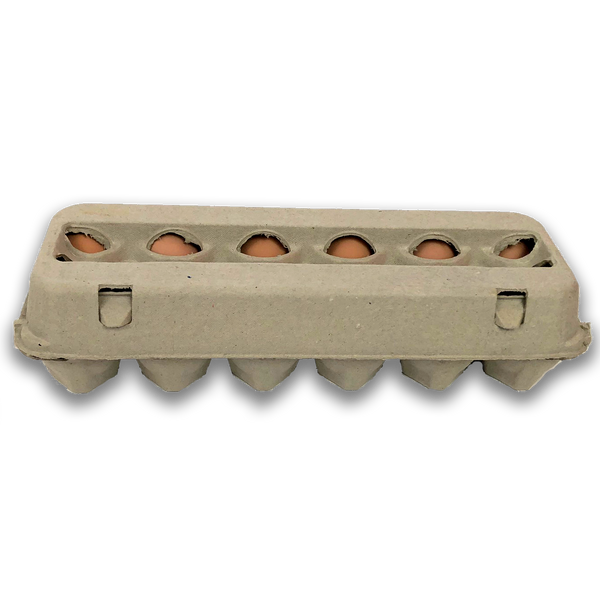 Blank Stock Egg Carton