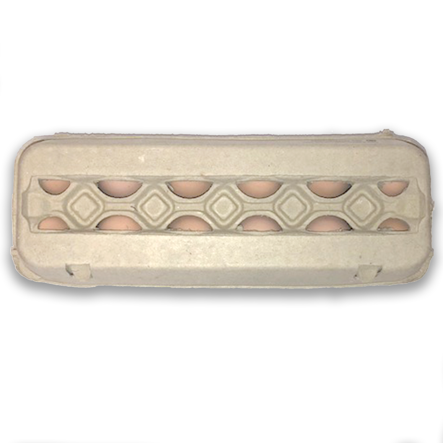 Blank Stock Egg Carton